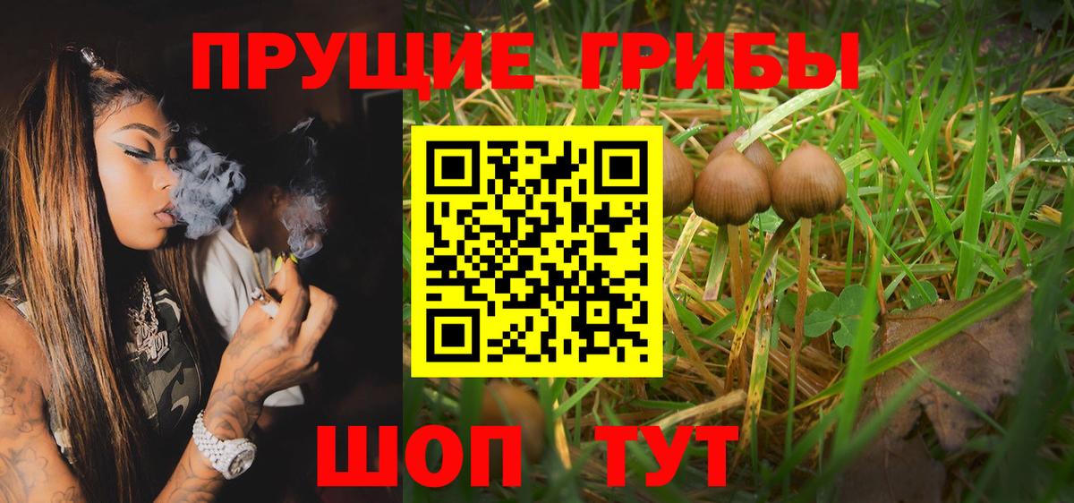 Псилоцибиновые грибы мухоморы Хасавюрт
