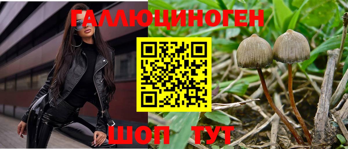 Псилоцибиновые грибы мухоморы  дарнет шоп  Хасавюрт  Вход с VPN 